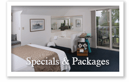 Special Packages0727 