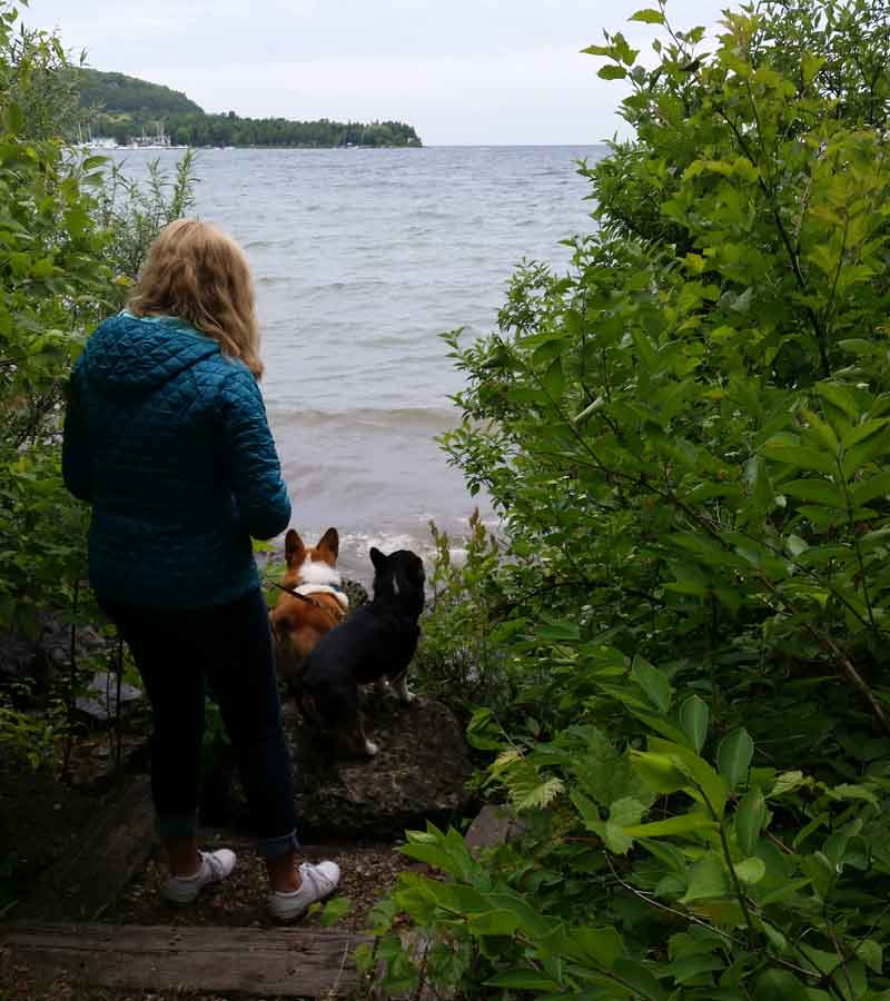 Penninsula Park in Door County with dogs