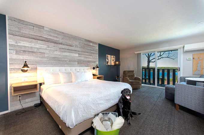 Country House Resort dog friendly room mobile