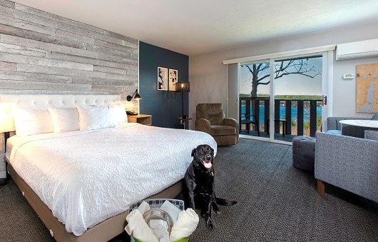 Dog friendly King Water View room