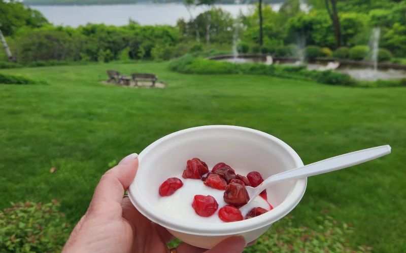 Breakfast yogurt and Door County Cherries