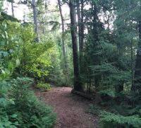 Shoreline trail