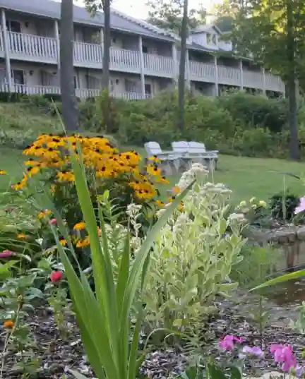 Spring at Country House Resort with a waterfall and spring flowers -for mobile