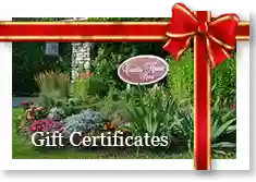 Gift Certificate