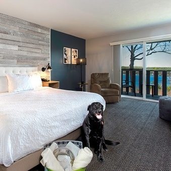 Dog friendly King Water View room